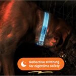 Personalized Dog Collars - Reflective Nylon Collar Customized with Name and Phone Number Adjustable Sizes for Small Dogs, Medium, Large 4 Colors Male Female boy Girl Puppies - Image 3
