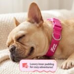 Personalized Dog Collars - Reflective Nylon Collar Customized with Name and Phone Number Adjustable Sizes for Small Dogs, Medium, Large 4 Colors Male Female boy Girl Puppies - Image 4
