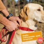 Personalized Dog Collars - Reflective Nylon Collar Customized with Name and Phone Number Adjustable Sizes for Small Dogs, Medium, Large 4 Colors Male Female boy Girl Puppies - Image 5