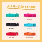Personalized Dog Collars - Reflective Nylon Collar Customized with Name and Phone Number Adjustable Sizes for Small Dogs, Medium, Large 4 Colors Male Female boy Girl Puppies - Image 6