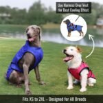 Dog Cooling Vest + 3 Ice Packs – 2-Layer Evaporative Cooling Jacket with High Collar, UV Protection & Size-Matched Ice Pack – Cooling Vest for Dogs for Hot Weather (Blue Aqua, X-Large) - Image 5