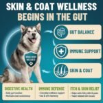 Dog Yeast Infection Treatment & Probiotics for Dogs Bundle, 2 x 200 Soft Chews with Caprylic Acid, Probiotics, Digestive Enzymes & Pumpkin, Gut Health - Image 6