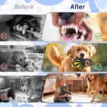 MAXBECK Dog Companion for Heavy Chewers- Indestructible Robust Bear Dog Toy, Resistant Squeaky Dog Toys for Heavy Chewers, Unbreakable Stuffed Plush Dog Toys for Aggressive Chewers (A-Navy) - Image 4