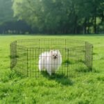 Amazon Basics Foldable Octagonal Metal Exercise Dog Playpen, Indoor/Outdoor Pet Fence, No Door, 8 Panels, Extra Small, 24 x 24 Inches, Black - Image 7