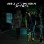 Novkin 2-Pack LED Dog Collar, Light Up Dog Collars,Rechargeable Dog Lights for Night Walking，Universal, Reusable Safety Necklace for Small Medium Large Dogs Green&Blue - Image 3