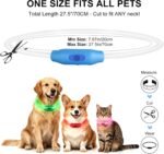 Novkin 2-Pack LED Dog Collar, Light Up Dog Collars,Rechargeable Dog Lights for Night Walking，Universal, Reusable Safety Necklace for Small Medium Large Dogs Green&Blue - Image 4
