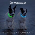 Novkin 2-Pack LED Dog Collar, Light Up Dog Collars,Rechargeable Dog Lights for Night Walking，Universal, Reusable Safety Necklace for Small Medium Large Dogs Green&Blue - Image 6