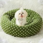 BFPETHOME Donut Dog Beds for Small Dogs, Round Cat Beds for Indoor Cats, Calming Pet Bed for Puppy and Kitty with Non-Slip Bottom, Cute Fancy Dog Bed Machine Washable Plush Fabric - Image 8