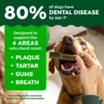 Greenies Large Natural Dental Dog Treats, Original Flavor, 17 Count - Image 3