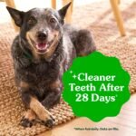 Greenies Large Natural Dental Dog Treats, Original Flavor, 17 Count - Image 4