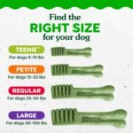 Greenies Large Natural Dental Dog Treats, Original Flavor, 17 Count - Image 11