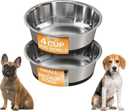 Neater Pet Brands Stainless Steel Dog Bowls with Non-Slip Rubber Bottom – Set of 2, 4 Cup (32 oz), Black – Heavy Duty Metal Dog Bowl, Dishwasher Safe, Food or Water Bowl, Ideal for Medium Dogs