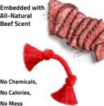 Playology Tug Rope Dog Toys for Medium Dogs - Medium, Beef Scent - Image 4