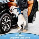 Dog Lift Harness for Large Dogs, Full Body Support Sling with 3 Handles and Shoulder Strap, Carrying Vest for Senior Dogs with Arthritis or Joint Injuries, Stairs Assistance, Blue, X-Large - Image 4