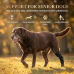 Dog Knee Brace for Hind Leg, Dog Hock Brace for Back Leg Support, Adjustable ACL CCL Brace for Dogs, Rear Leg Support for Joint Stability, Recovery & Mobility, Small Medium Large Dogs (Black, S) - Image 6