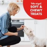 Buddy Biscuits Trainers Training Bites Soft & Chewy Dog Treats, Beef, 10 oz. Pouch - Image 7