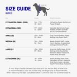 Dog Friendly Co. Dog Harness for Small Dogs, Adjustable (Navy, Extra Small) - Image 6