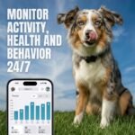 FitBark 2 Dog Activity Monitor | Health & Fitness Tracker for Dogs | Waterproof, Small & Leightweight (10 g) | Not a GPS Tracker - Image 3