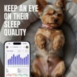 FitBark 2 Dog Activity Monitor | Health & Fitness Tracker for Dogs | Waterproof, Small & Leightweight (10 g) | Not a GPS Tracker - Image 4