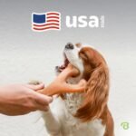 Benebone Wishbone Dog Chew Toy for Aggressive Chewers, Real Bacon, Small - Image 5