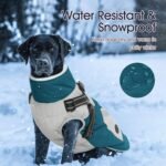 IECOii Dog Winter Jacket for Small Dogs, Dog Coat with Harness Built in - Image 5