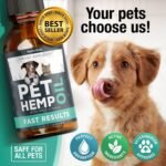 Hemp Oil for Dogs, Cats - Natural Calming Pet Anxiety, Stress & Pain Relief - Image 3