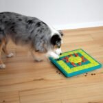 Outward Hound Nina Ottosson MultiPuzzle Dog Toy Treat Puzzle, 15" - Image 8