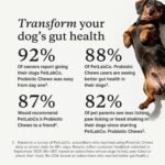 PetLab Co. Probiotic Chews for Dogs, 30 Soft Chews, Salmon - Image 3