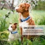 Hikiko Martingale Collar for Dogs with Special Pattern,Adjustable,L - Image 5