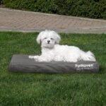 Furhaven Water-Resistant Orthopedic Dog Bed for Medium/Small Dogs w/ Removable Washable Cover, For Dogs Up to 35 lbs - Indoor/Outdoor Logo Print Oxford Polycanvas Mattress - Stone Gray, Medium - Image 3