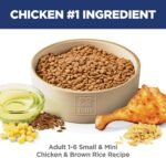 Hill's Science Diet Adult 1-6 Small & Mini Dry Dog Food - Image 3