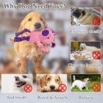 LECHONG 5 Pack Tough Dog Toys Stuffed Squeaky Dog Toys Assortment Plush Animal Dog Toy Value Bundle Puppy Pet Dog Toys for Small Medium Large Dogs - Image 4