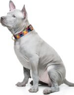 Reflective Adjustable Dog Collar for Medium Dogs, Colorful Tartan,M - Image 2