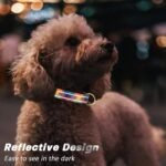 Reflective Adjustable Dog Collar for Medium Dogs, Colorful Tartan,M - Image 3