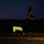 Reflective Dog Vest. High Visibility Yellow Safety Vest for Outdoors. Safeguard Your Dog with Easy to wear Adjustable and Breathable Reflective Gear (Large) - Image 3