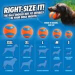 Chuckit! Ultra Ball Dog Fetch Toy, Large 3in, for 60-100lbs Dogs, Floats - Image 4