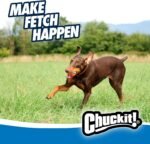 Chuckit! Ultra Ball Dog Fetch Toy, Large 3in, for 60-100lbs Dogs, Floats - Image 5