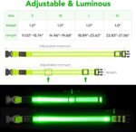 VIZPET LED Dog Collar, Light up Dog Collar Adjustable Safety Glow Collar,M - Image 5