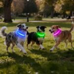 VIZPET LED Dog Collar, Light up Dog Collar Adjustable Safety Glow Collar,M - Image 6