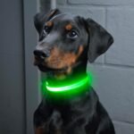 VIZPET LED Dog Collar, Light up Dog Collar Adjustable Safety Glow Collar,M - Image 7