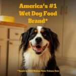 Pedigree Choice Cuts Wet Dog Food, Beef & Country Stew, 13.2 oz, 12 Count - Image 4