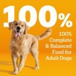 Pedigree Choice Cuts Wet Dog Food, Beef & Country Stew, 13.2 oz, 12 Count - Image 5