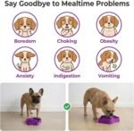 Small Slow Feeder Dog Bowl, Anti-Choking Puzzle Maze for Small Dogs, Slow Down Eating to Prevent Bloat & Improve Digestion, 1 Cup Capacity for Wet or Dry Food, BPA-Free Food Grade PP Material - Image 7