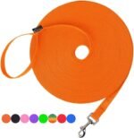 Hi Kiss Dog/Puppy Obedience Recall Training Agility Lead - 15ft 20ft 30ft 50ft 100ft Leash - Great for Play, Camping, or Backyard - Orange