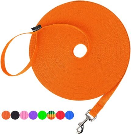 Hi Kiss Dog/Puppy Obedience Recall Training Agility Lead – 15ft 20ft 30ft 50ft 100ft Leash – Great for Play, Camping, or Backyard – Orange