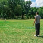 Hi Kiss Dog/Puppy Obedience Recall Training Agility Lead - 15ft 20ft 30ft 50ft 100ft Leash - Great for Play, Camping, or Backyard - Orange - Image 7