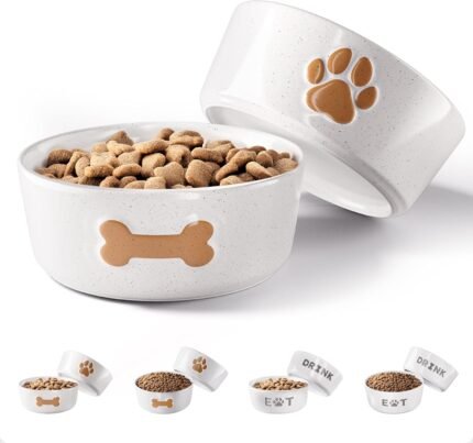 Ceramic Dog Bowl Set of 2 with Anti-Skid Base, 5.5"W x 2"H, 2 Cups per Bowl