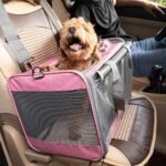 GAPZER Pet Carrier for Large and Medium Cat, Soft-Sided Pet Crate for Puppy - Image 8