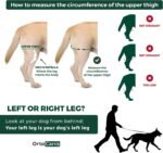 Ortocanis Dog Knee Brace for Hind Leg Support – (Large, Left Leg) - Image 5