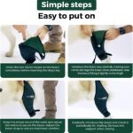 Ortocanis Dog Knee Brace for Hind Leg Support – (Large, Left Leg) - Image 7